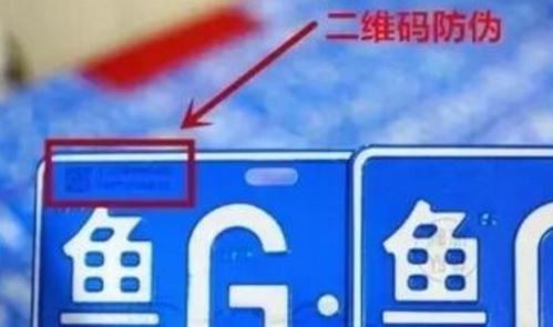 草莓视频下载链接二维码.jpg